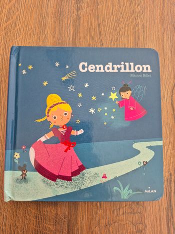 Livre a toucher Cendrillon