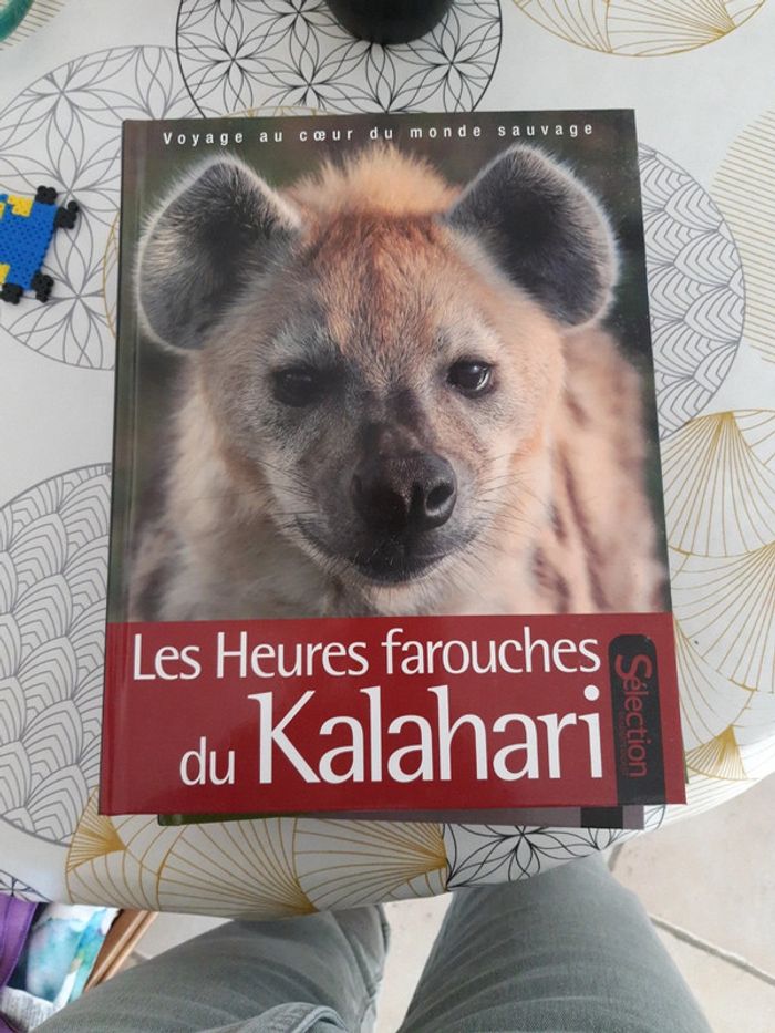 Les heures farouches du Kalahari