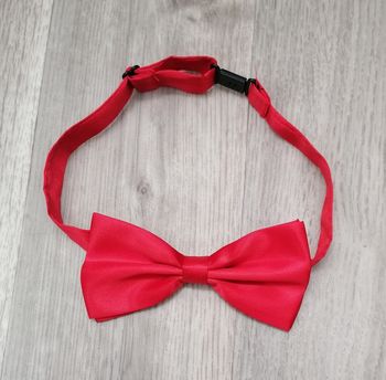 Nœuds Papillon homme 