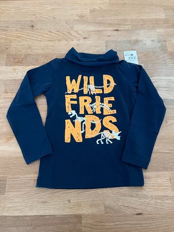 Sous pull dinosaure