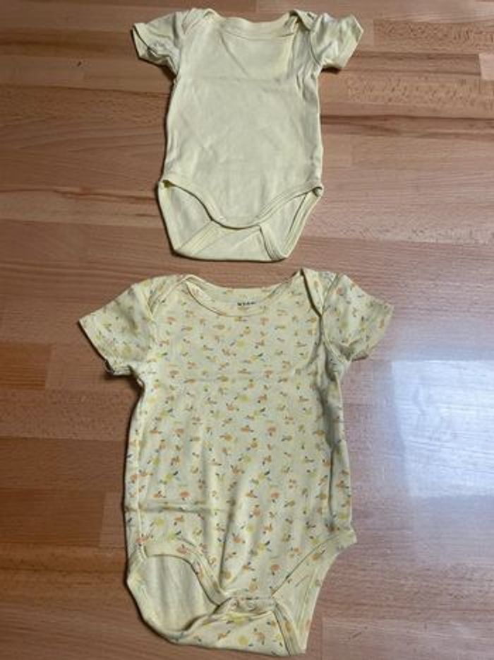 Lot 8 bodies MC - photo numéro 5