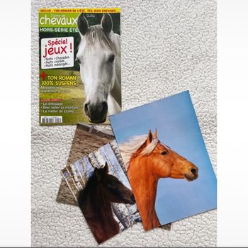 Magazine + 3 posters l’univers du cheval