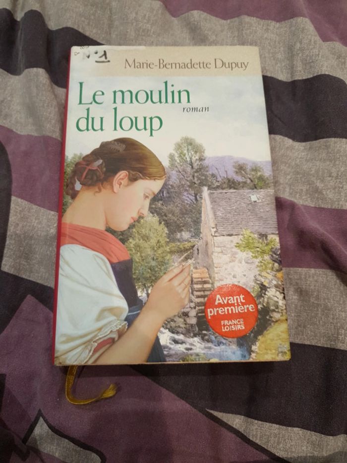 Livre de Marie Bernadette Dupuy Le moulin du loup