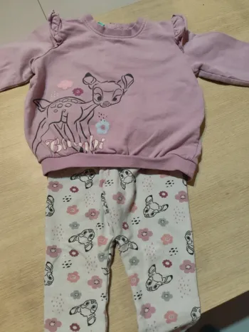 Ensemble Bambi