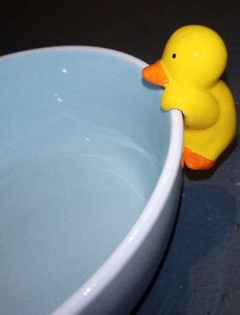 Gros bol canard