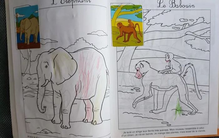 Les animaux de la savane dvd - photo numéro 2