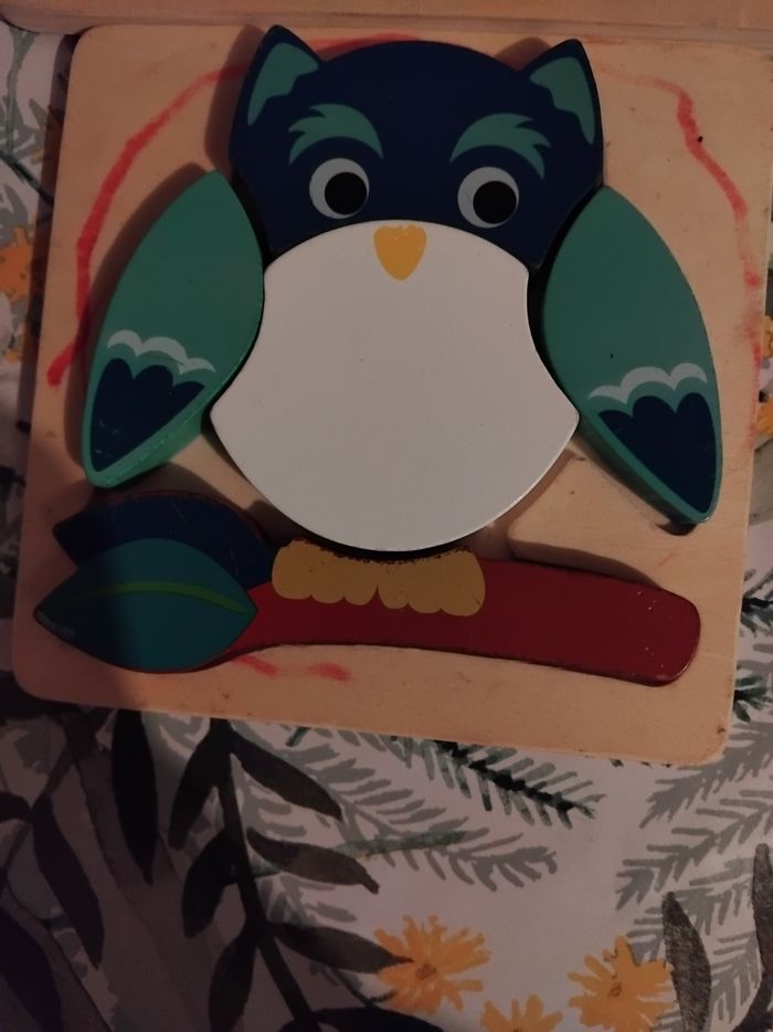 Lot de 4 puzzle en bois - photo numéro 5