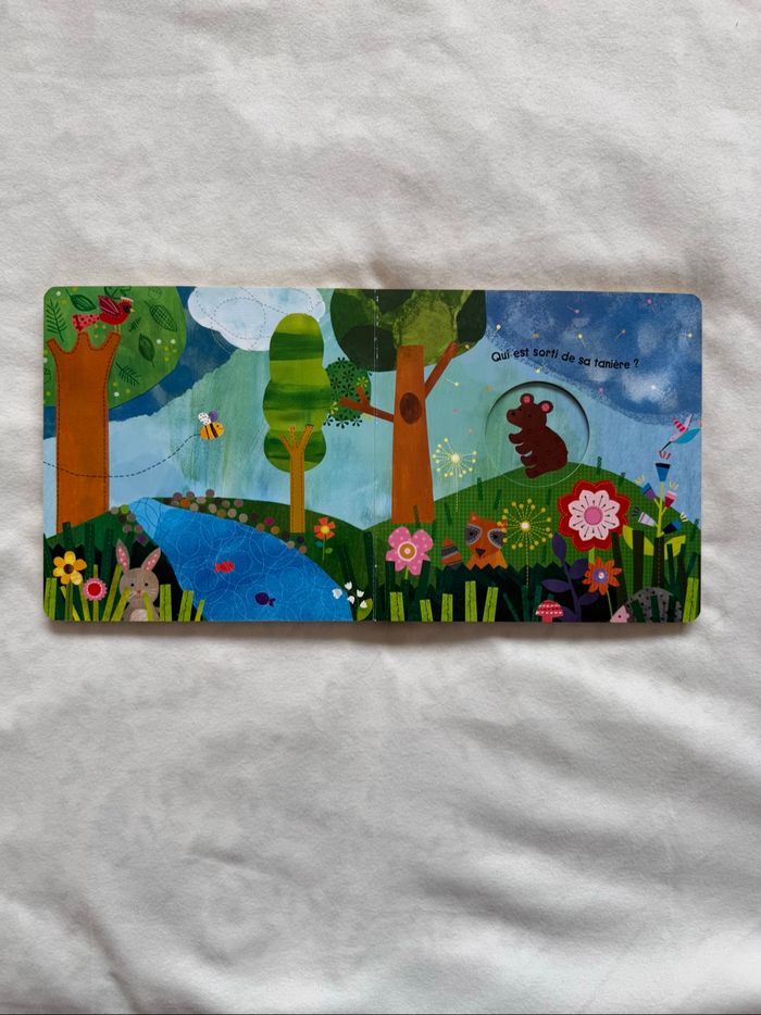 Livre qui se cache dans la forêt - photo numéro 6