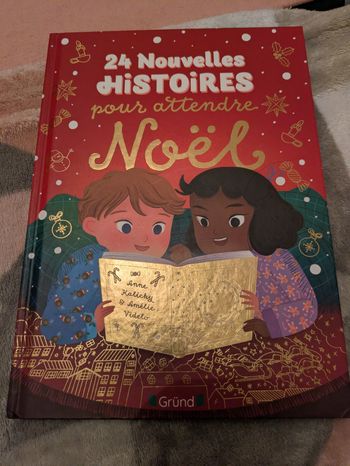 Livre 24 histoires en attendant Noel