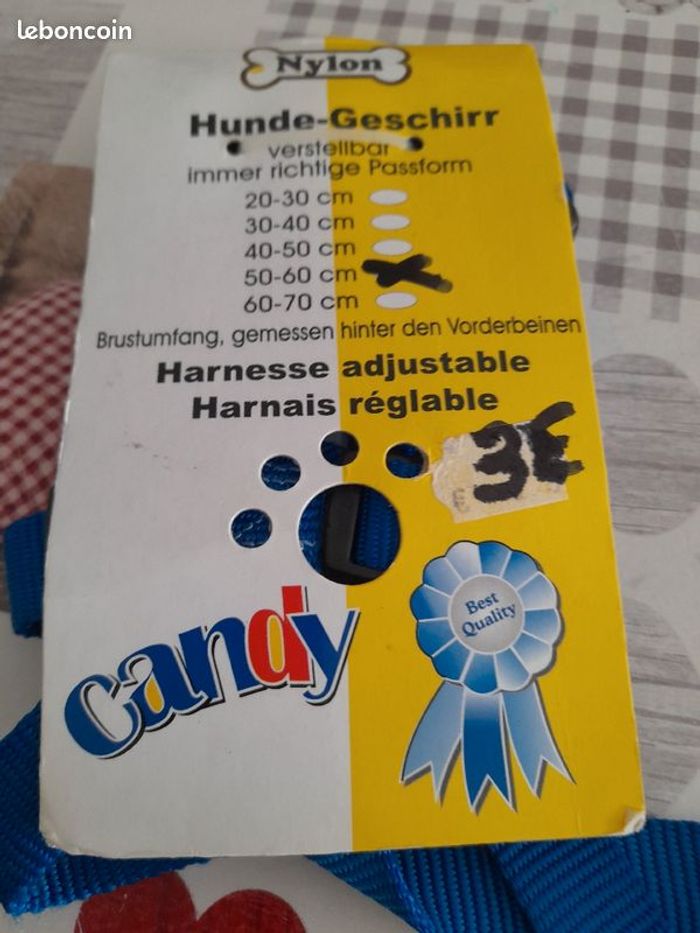harnais