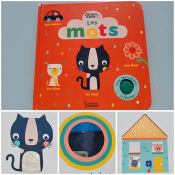 Imagier Larousse Jeunesse, à toucher ,Les Mots