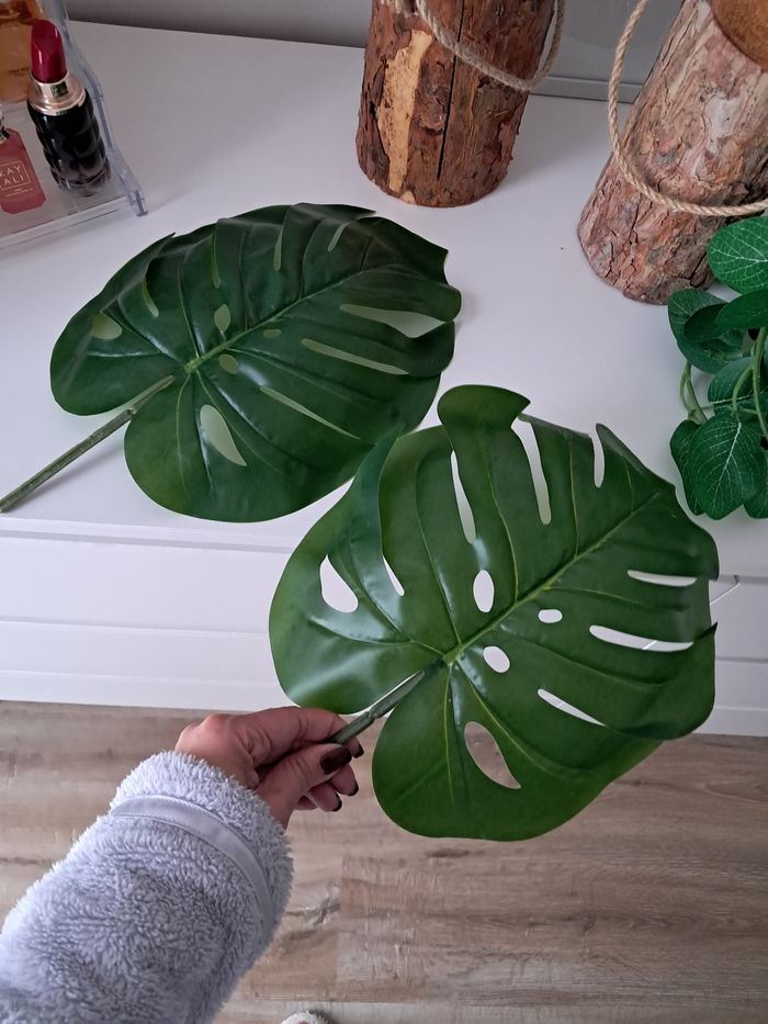 Décoration - photo numéro 3