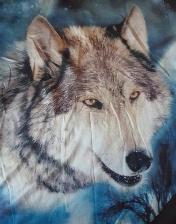 T-shirt garçon 4 ans