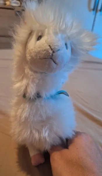 🎀 peluche lama histoire d ours 🎀