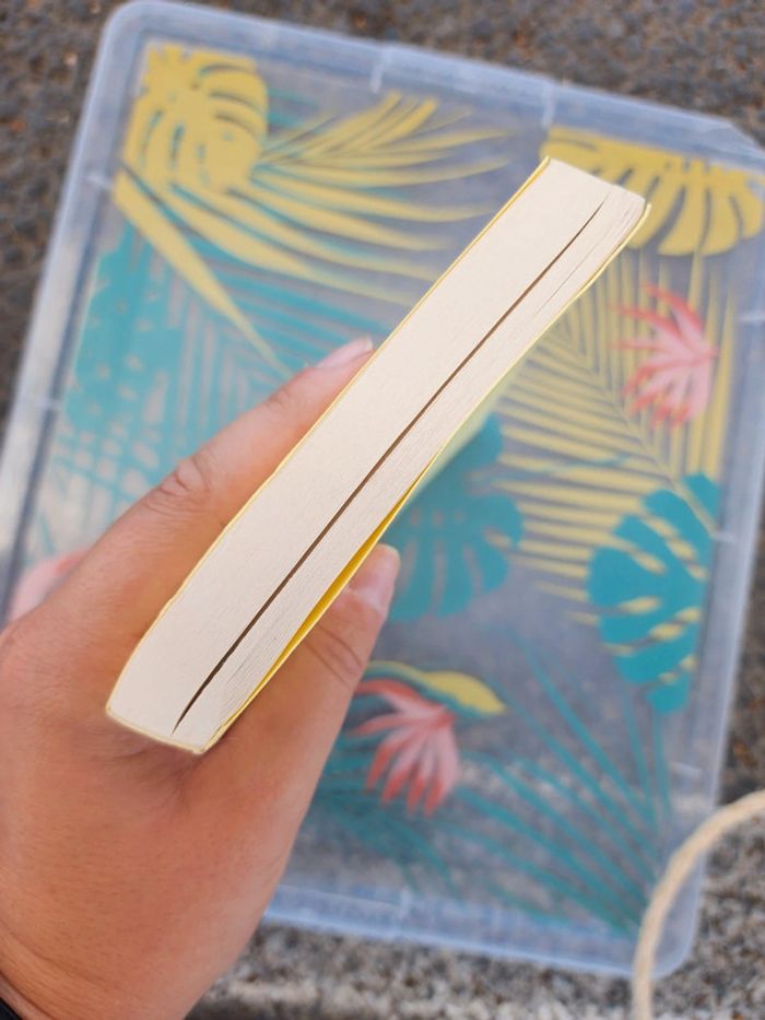 Livre broché "un héros" de Félicité Jerzog - photo numéro 4