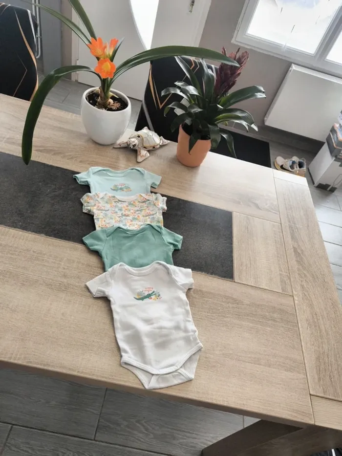Lot de 3 bodies garçon mc 3 mois 62cm in extenso