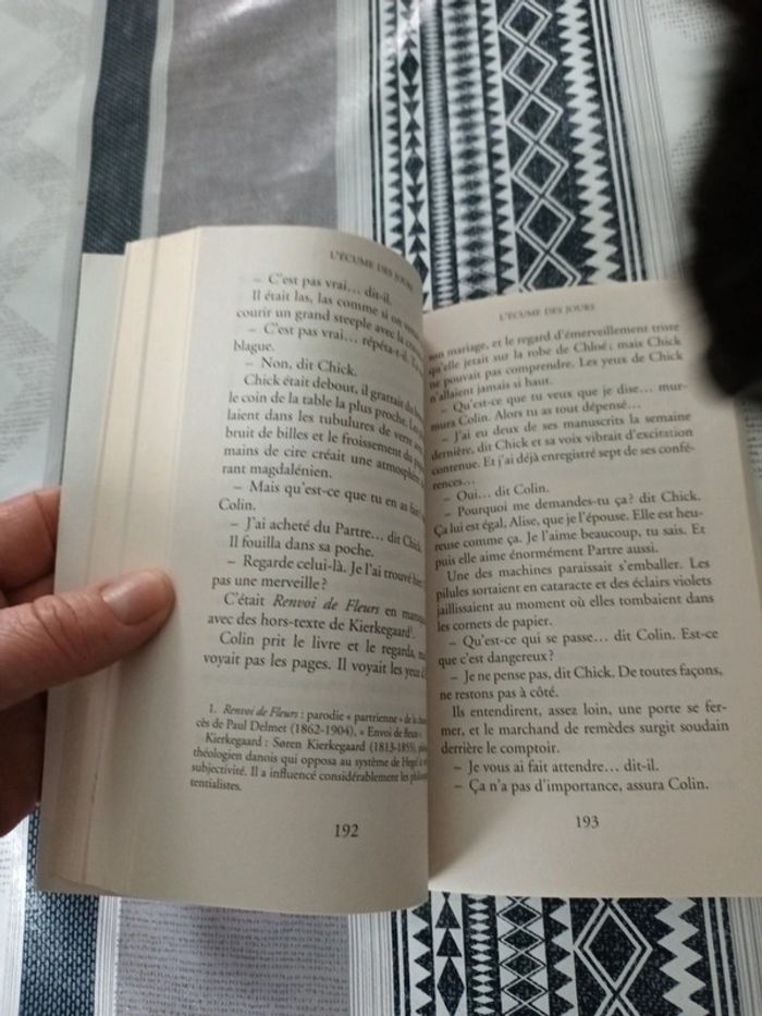 L ecume des jours - photo numéro 3