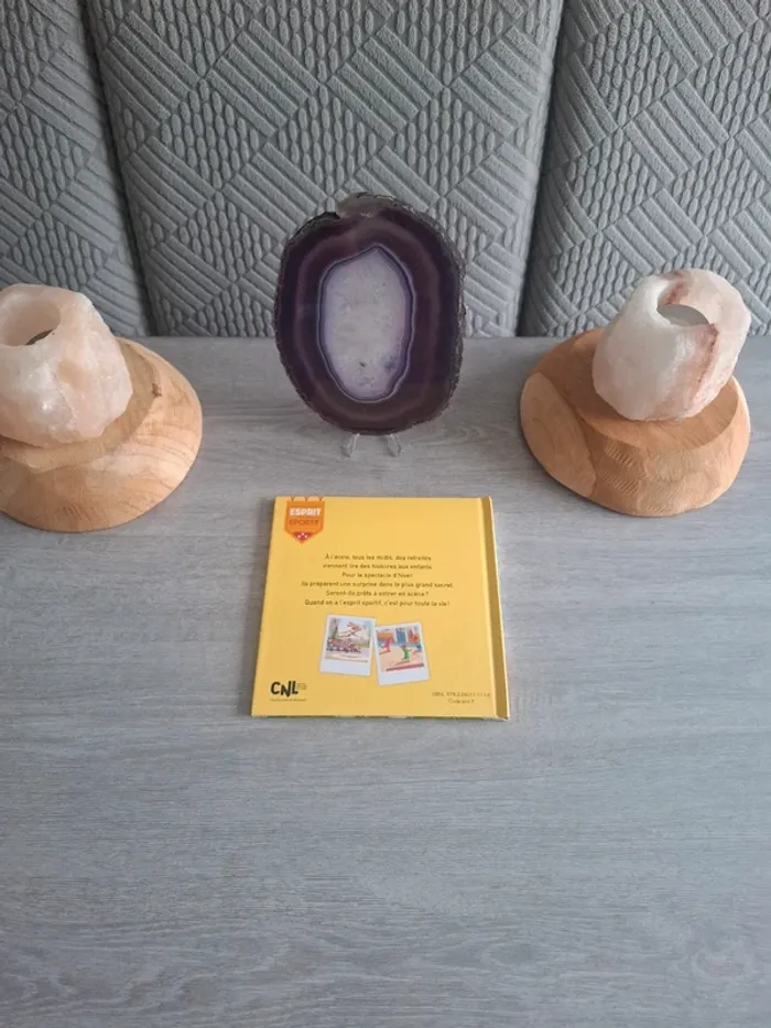 Livre Mcdo le spectacle de gymnastique - photo numéro 4