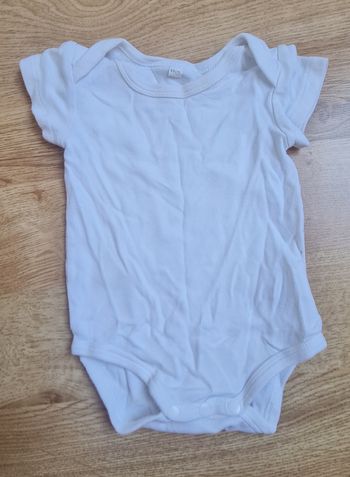 Bodie manches courte