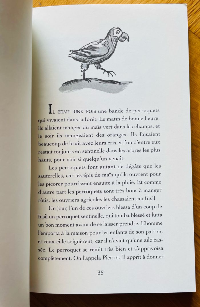 🦩🌿Contes de la forêt vierge Horacio Quiroga - photo numéro 9