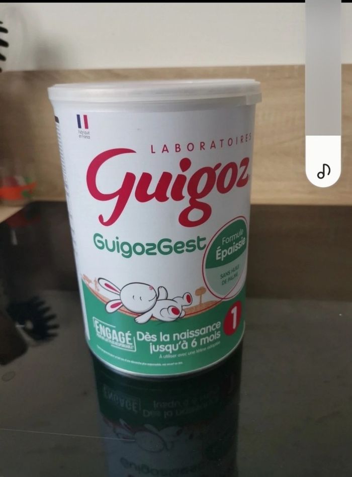 Guigoz gest - photo numéro 2