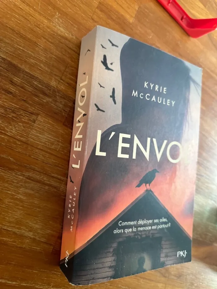 Livre l’envol - photo numéro 2