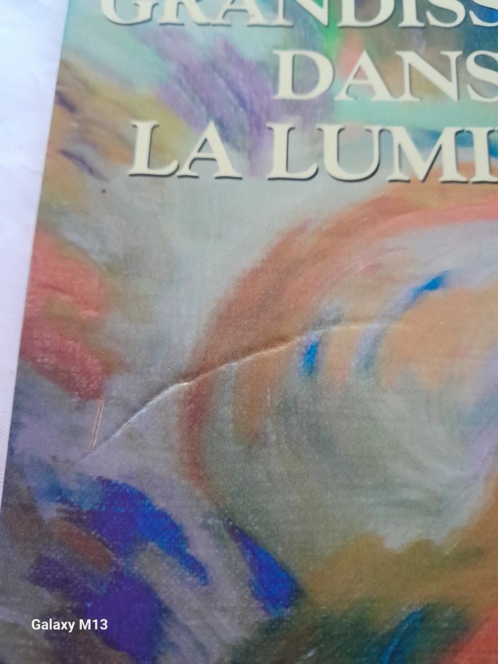 Grandissons dans la lumière Anne Marie Pesrin - photo numéro 2