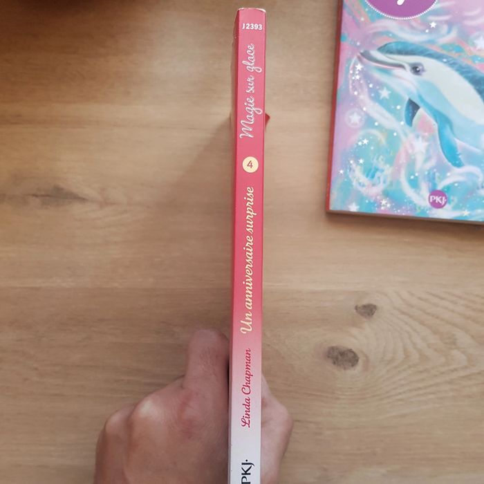 Lot de 3 livres - photo numéro 4