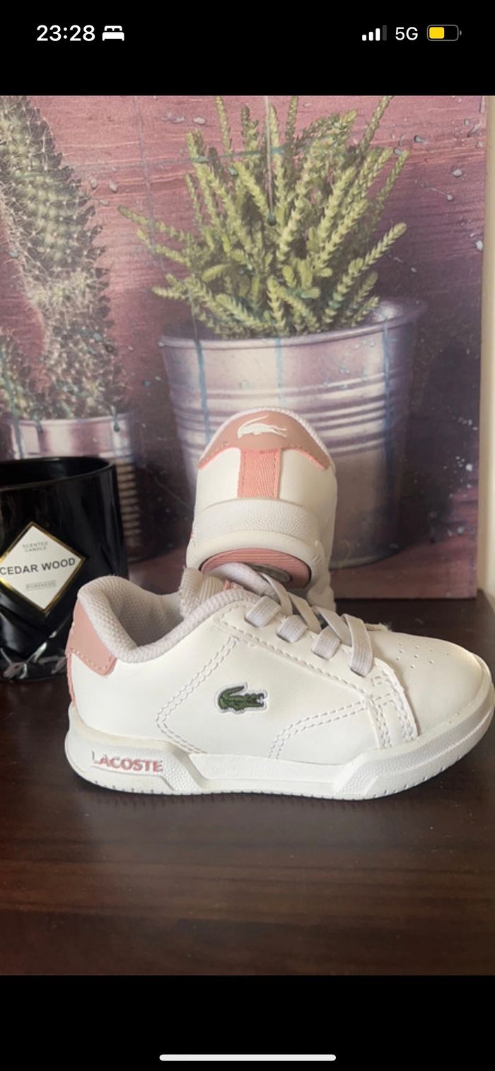 Basket Lacoste