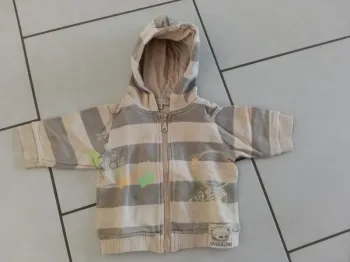 Veste rayé