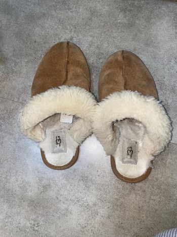 Chausson ugg taille 38