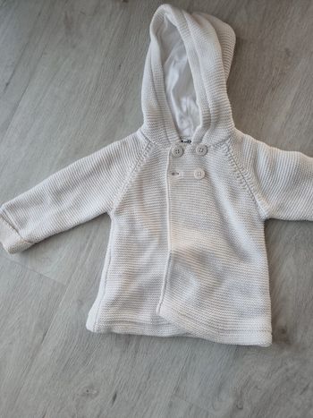 Gilet à capuche