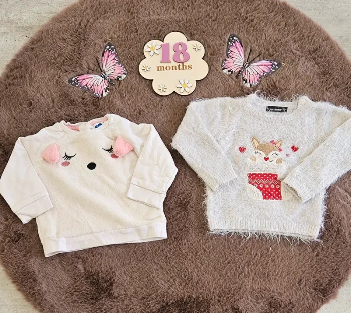 Lot de 2 pulls chaud hiver 18 mois fille