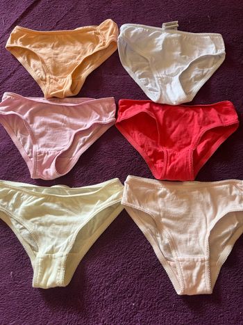 Culotte