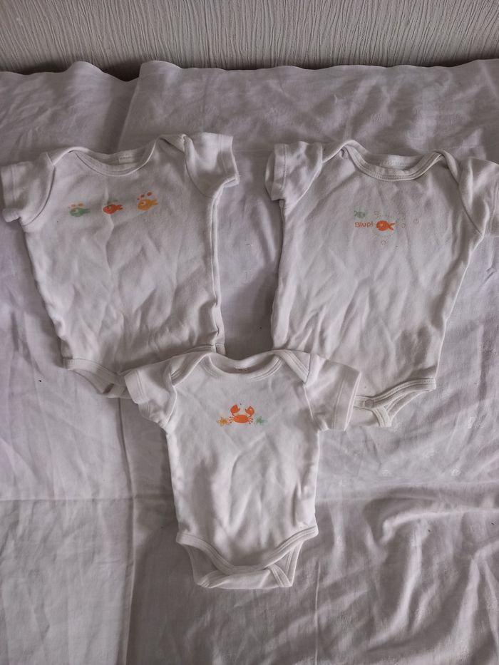 Lot 3 bodies 82 cm