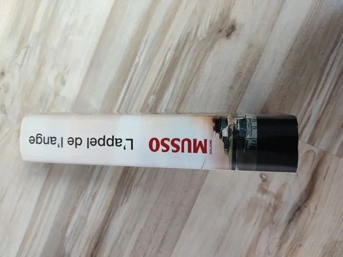 L'appel de l'ange de Guillaume Musso - photo numéro 2