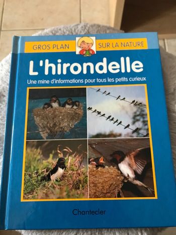 Livre L’hirondelle