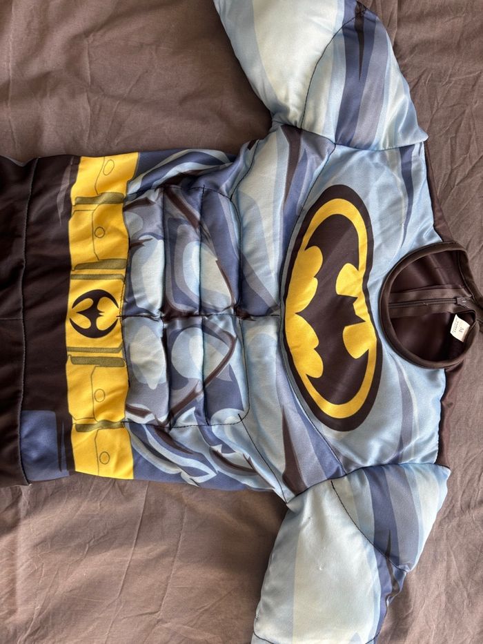 Batman - photo numéro 3