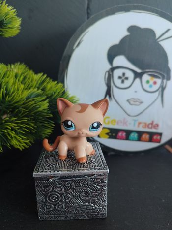 Littlest Petshop Pet Shop LPS cat Shorthair European Chat Europeen 1024 hasbro