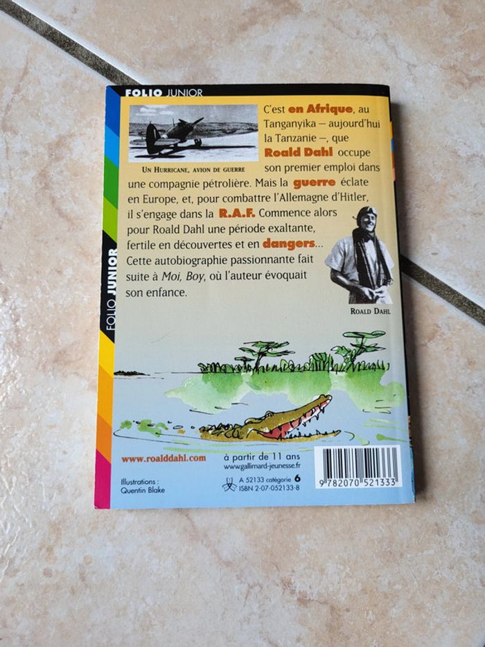 Escadrille 80 de Roald Dahl - photo numéro 2