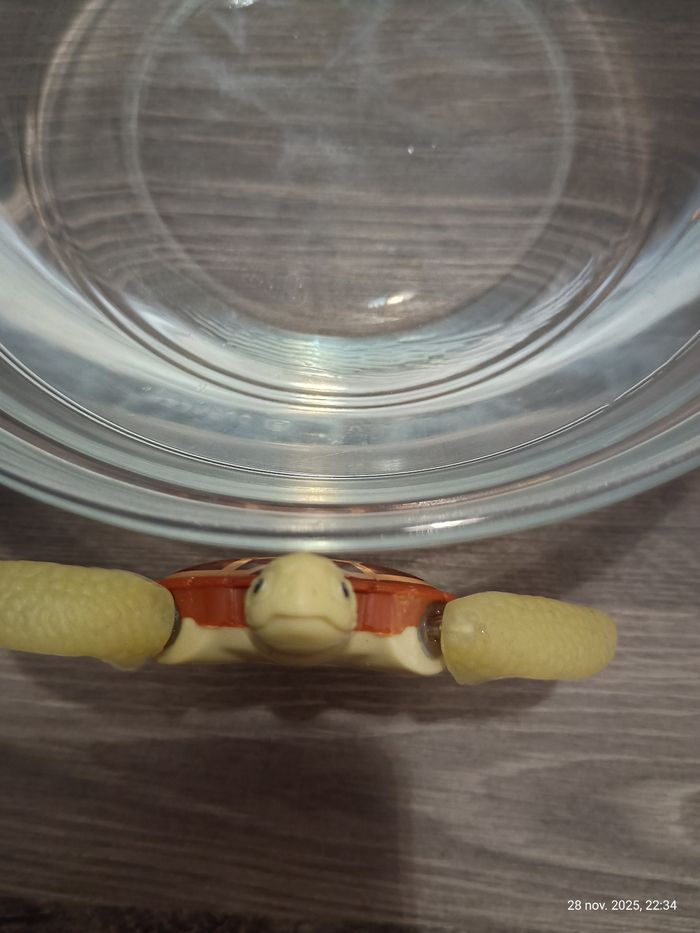 2 petites tortues mécanisées - photo numéro 7