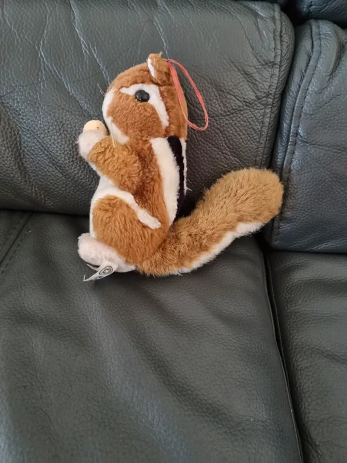 Écureuil en peluche