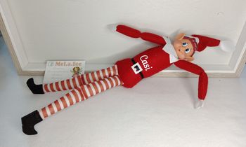 Lutin farceur personnalisé