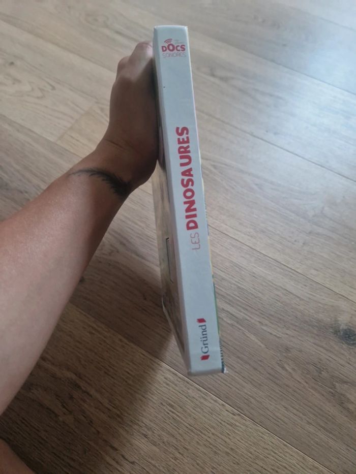 Livre sonore dinosaures - photo numéro 5