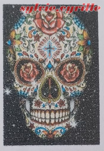 Diamond Painting 40×50 crâne mexicain rond