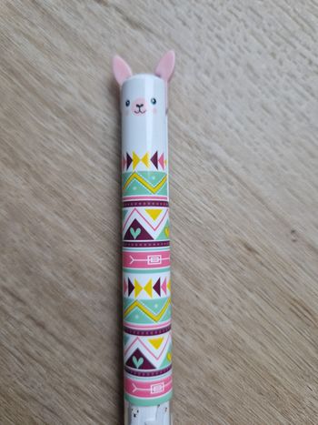 Stylos 2 couleurs effaçables 