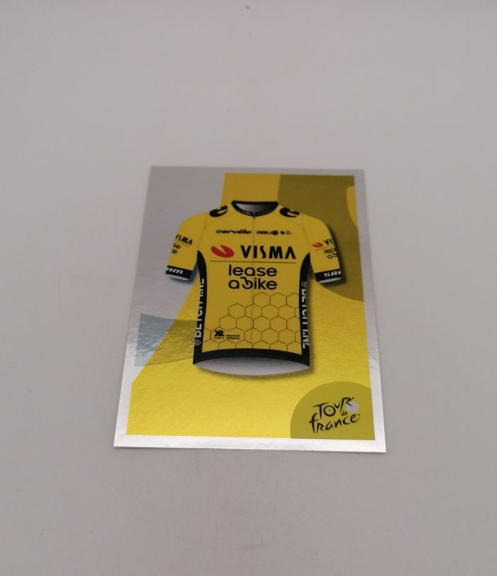 Panini sticker Tour de France 2024 n° 289.