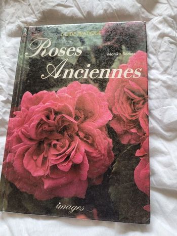 Roses anciennes