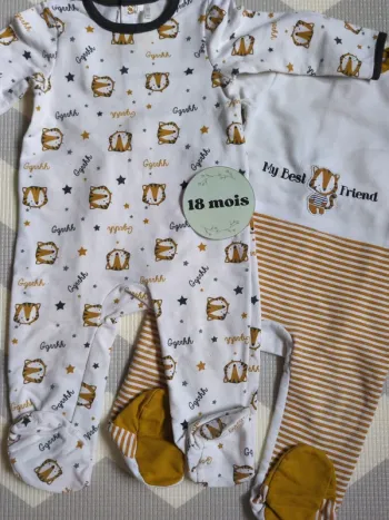 Lot 2 pyjamas grenouillères Orchestra 18 mois