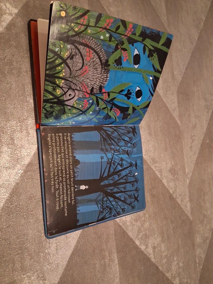 La musique des gitans livre avec cd - photo numéro 3